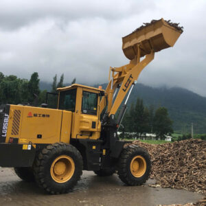 MÁY XÚC LẬT CẦN DÀI LG958LF ĐỘNG CƠ 6 MÁY